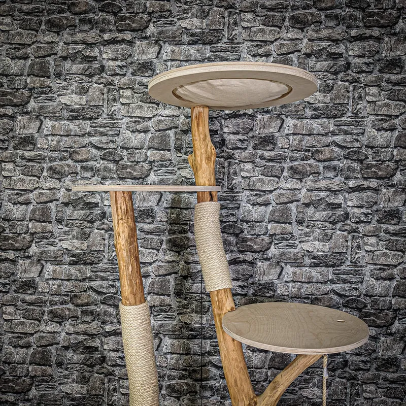 Naturkratzbaum 2144 Kratzbaum Natur Holz Design 170 cm hoch