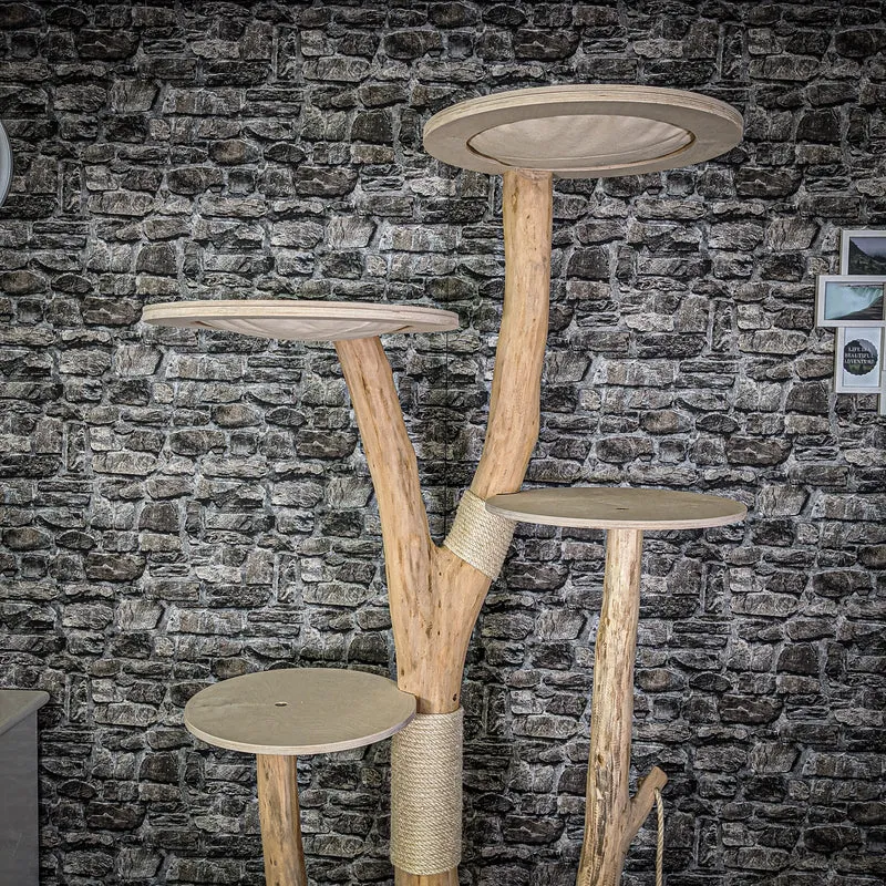 Naturkratzbaum 2134 Kratzbaum Natur Holz Design 203 cm hoch