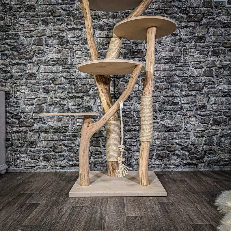 Naturkratzbaum 2141 Kratzbaum Natur Holz Design 175 cm hoch