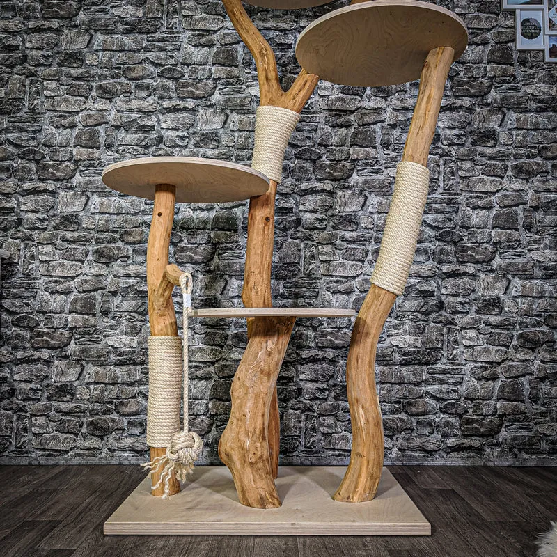 Naturkratzbaum 2138 Kratzbaum Natur Holz Design 200 cm hoch