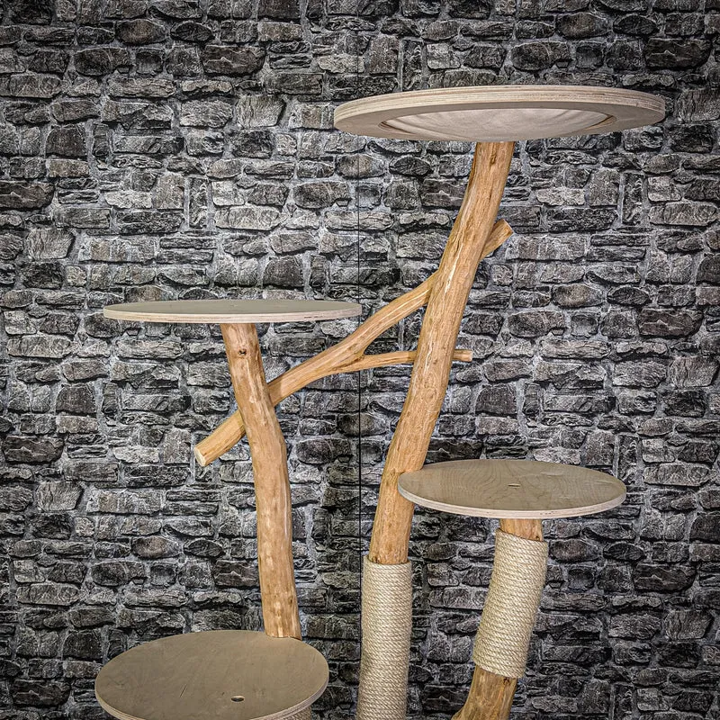 Naturkratzbaum 2123 Kratzbaum Natur Holz Design 185 cm hoch