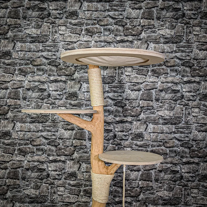 Naturkratzbaum 2121 Kratzbaum Natur Holz Design 145 cm hoch