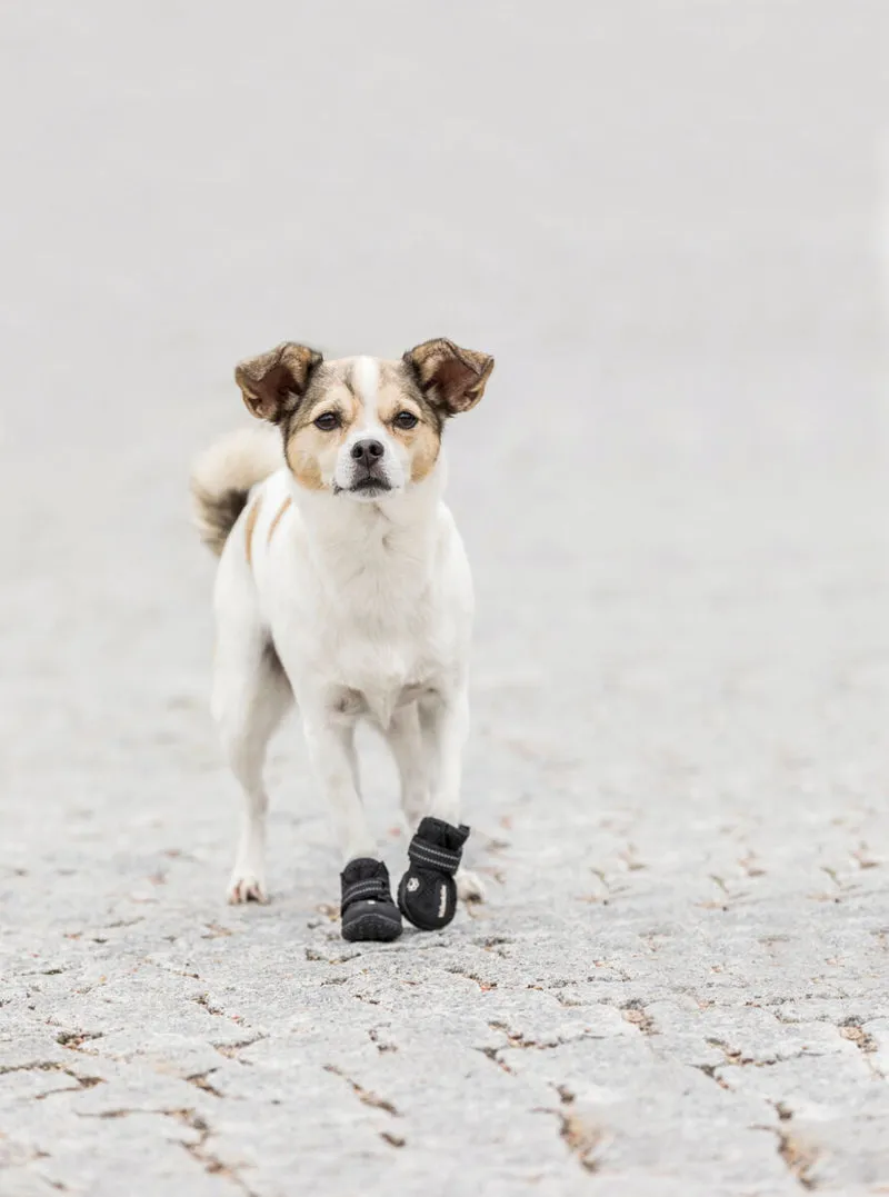 Pfotenschutz Walker Active