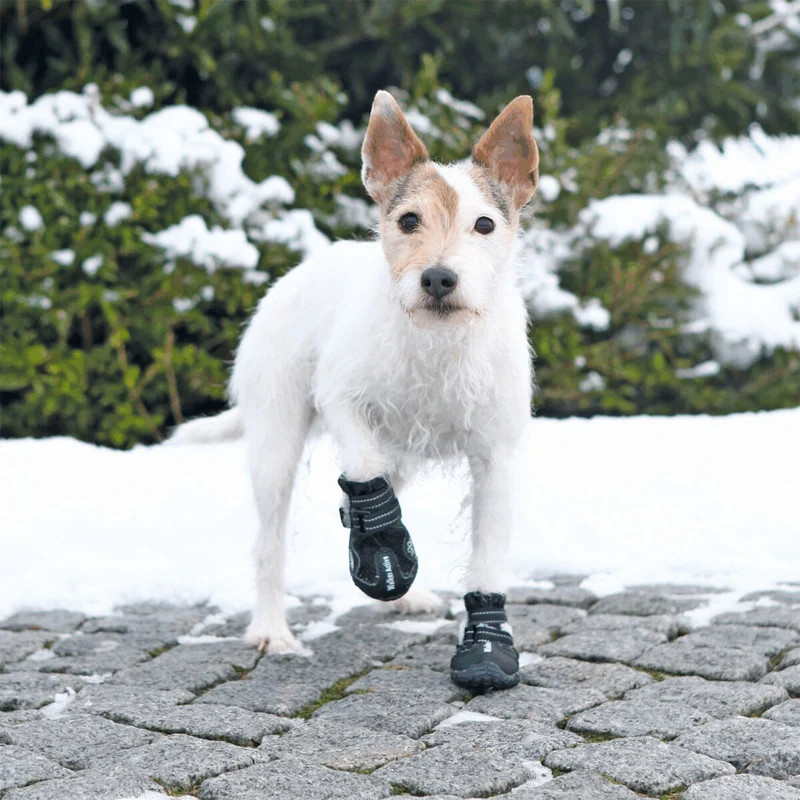Pfotenschutz Walker Active