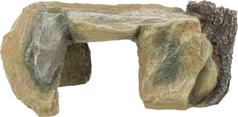 Felsplateau mit Baumstamm