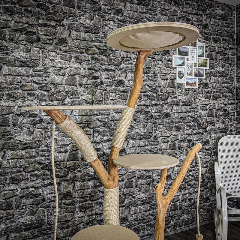 Naturkratzbaum 2099 Kratzbaum Natur Holz Design 175 cm hoch