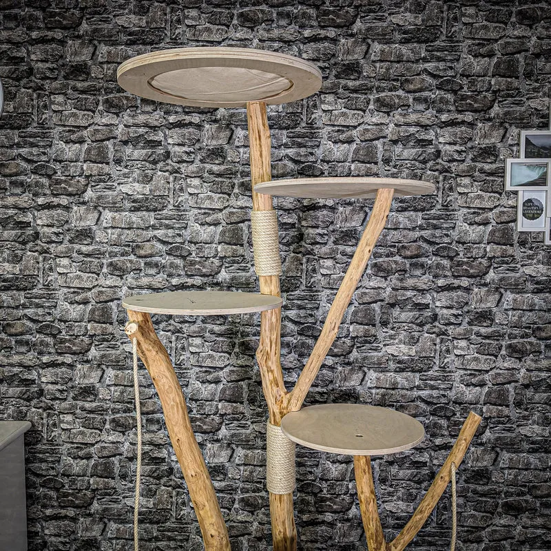Naturkratzbaum 2110 Kratzbaum Natur Holz Design 200 cm hoch