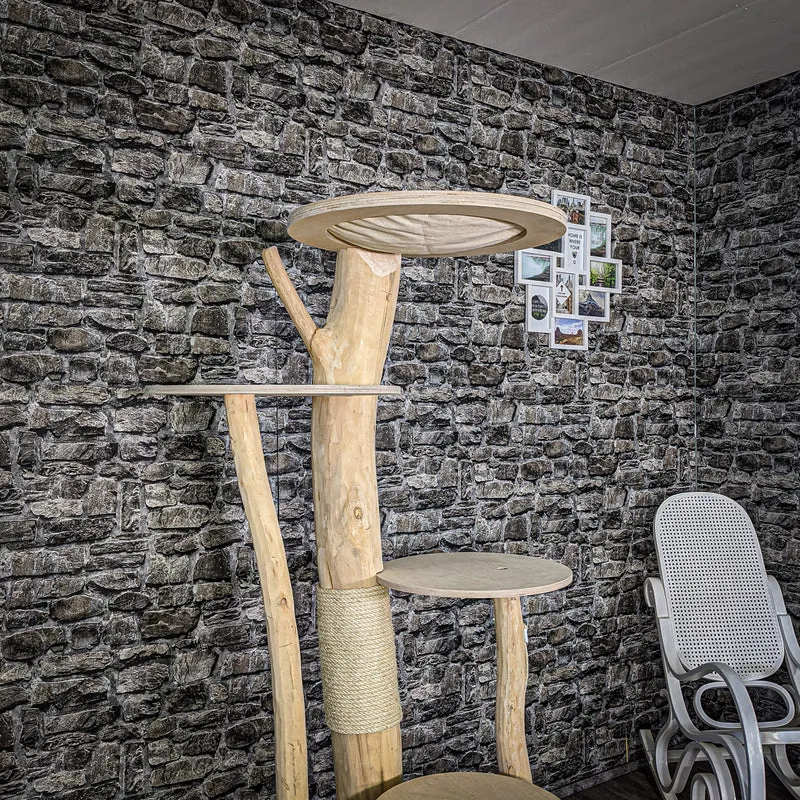 Naturkratzbaum 2071 Kratzbaum Natur Holz Design 170 cm hoch