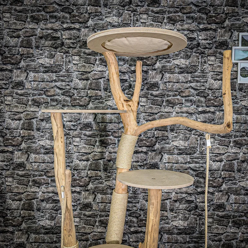 Naturkratzbaum 2053 Kratzbaum Natur Holz Design 173 cm hoch