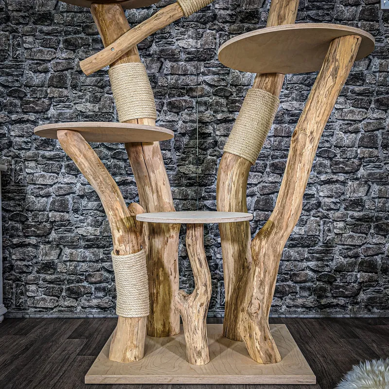 Naturkratzbaum 2052 Kratzbaum Natur Holz Design 183 cm hoch