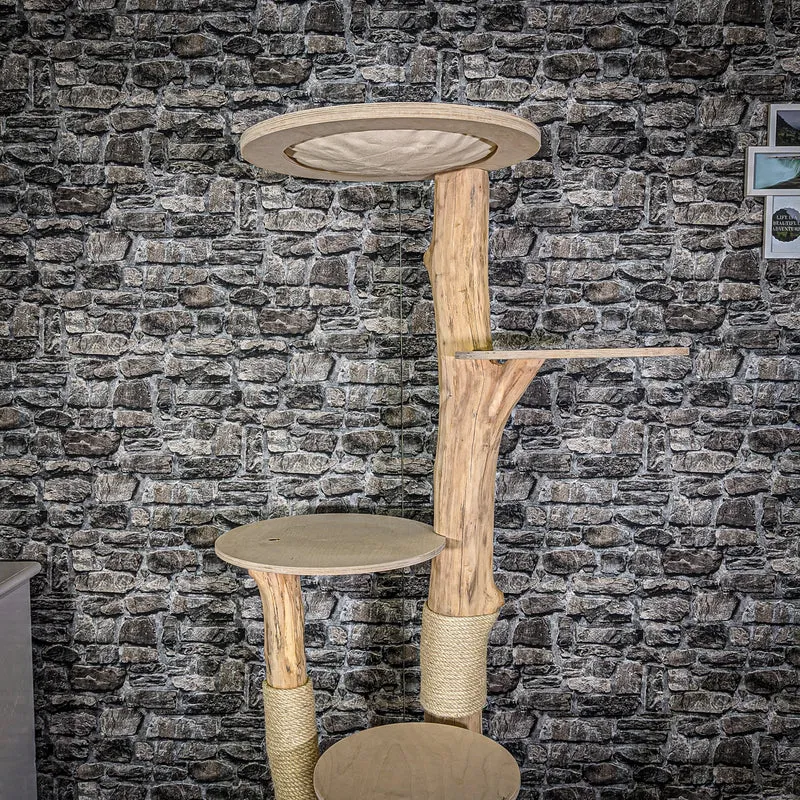Naturkratzbaum 2045 Kratzbaum Natur Holz Design 175 cm hoch