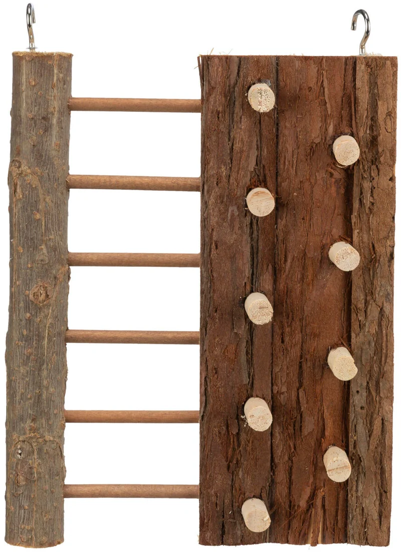 Kletterwand