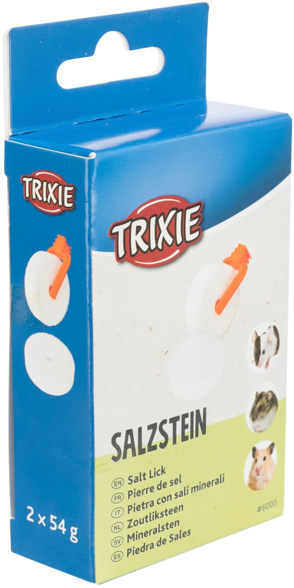 Salzstein