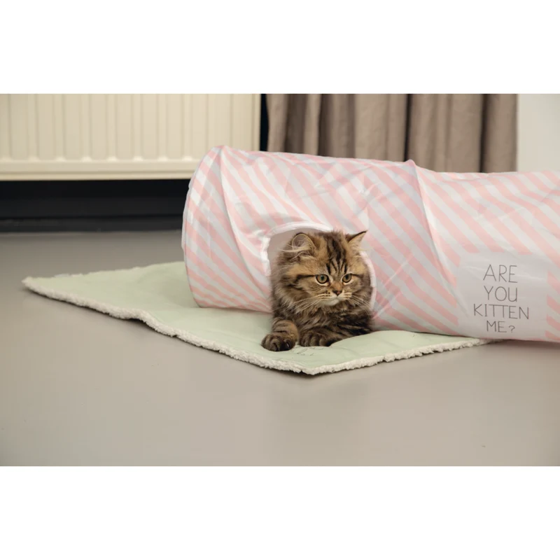 Katzenliegedecke Tilou