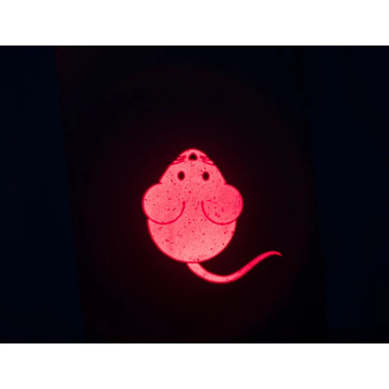 Katzen LED Pointer Catch the Light