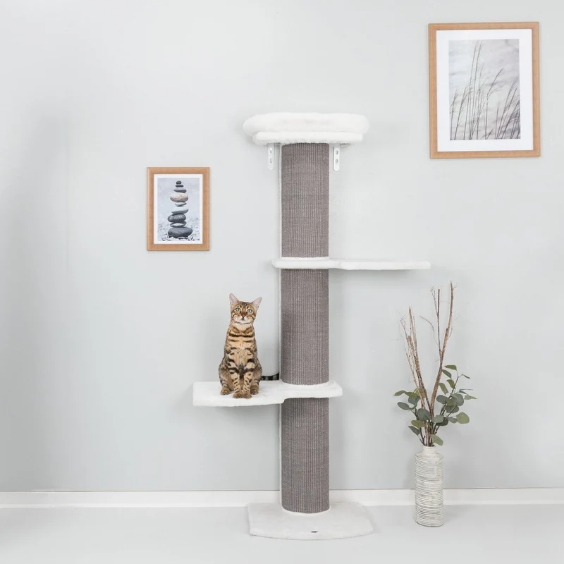 Kratzbaum Acadia mit Wandbefestigungen