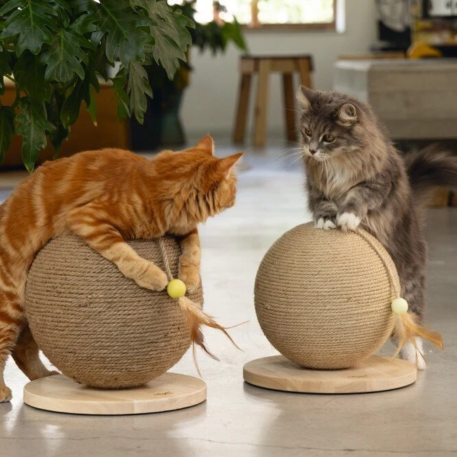 Kratzball Balty