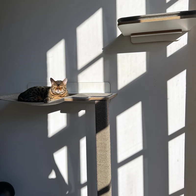 Cliffhänger | KLETTER-KRATZSTAMM mit HÄNGEMATTE aus Sisal für Katzen - Kratzsäule 118cm, 148cm