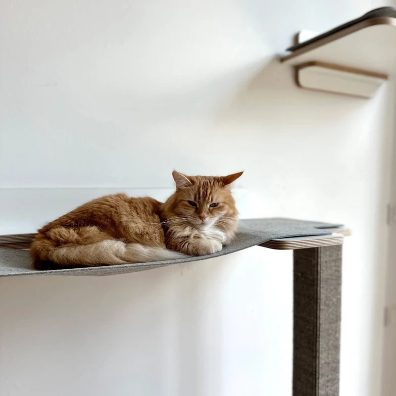Cliffhänger | KLETTER-KRATZSTAMM mit HÄNGEMATTE aus Sisal für Katzen - Kratzsäule 118cm, 148cm