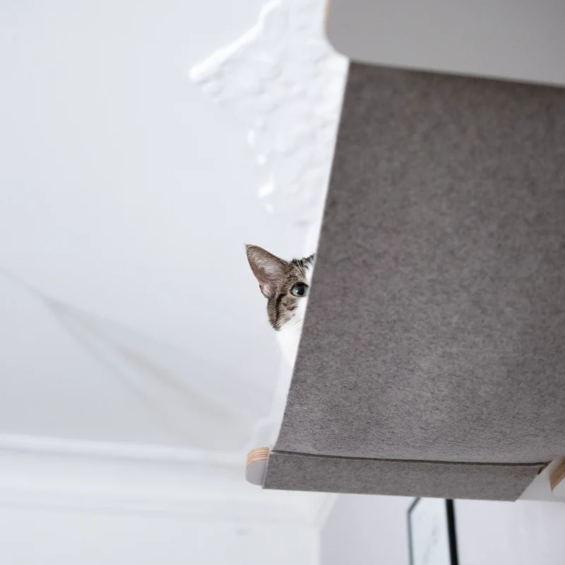 Cliffhänger | KLETTER-KRATZSTAMM mit HÄNGEMATTE aus Sisal für Katzen - Kratzsäule 118cm, 148cm