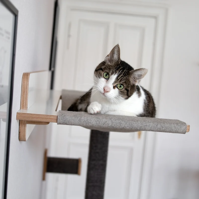 Cliffhänger | KLETTER-KRATZSTAMM mit HÄNGEMATTE aus Sisal für Katzen - Kratzsäule 118cm, 148cm