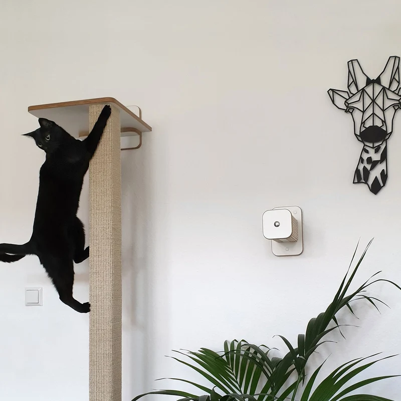 Vollpfosten bodenständig | KLETTER-KRATZSTAMM aus Sisal für Katzen - Kratzsäule 78cm, 98cm, 118cm, 148cm