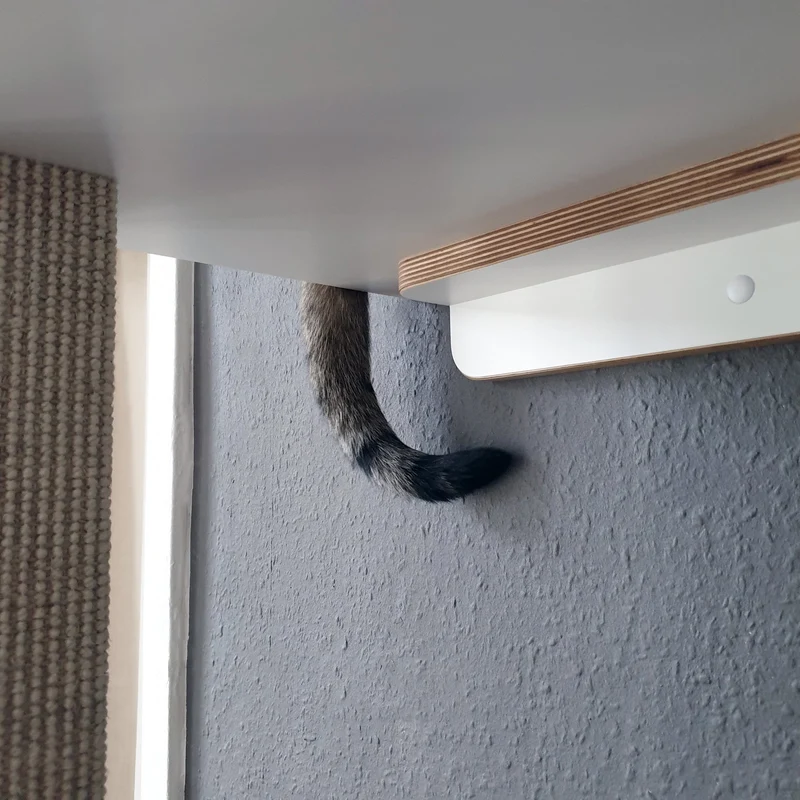 Vollpfosten bodenständig | KLETTER-KRATZSTAMM aus Sisal für Katzen - Kratzsäule 78cm, 98cm, 118cm, 148cm