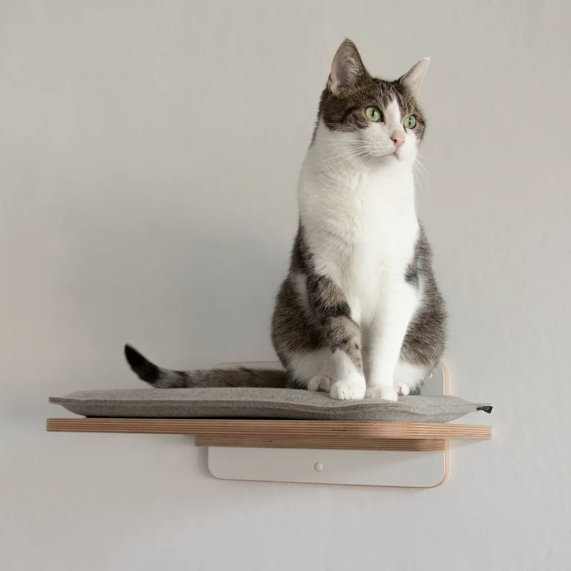 Langschläfer | WANDLIEGE für Katzen - weiß
