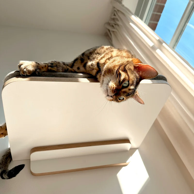 Langschläfer | WANDLIEGE für Katzen - weiß