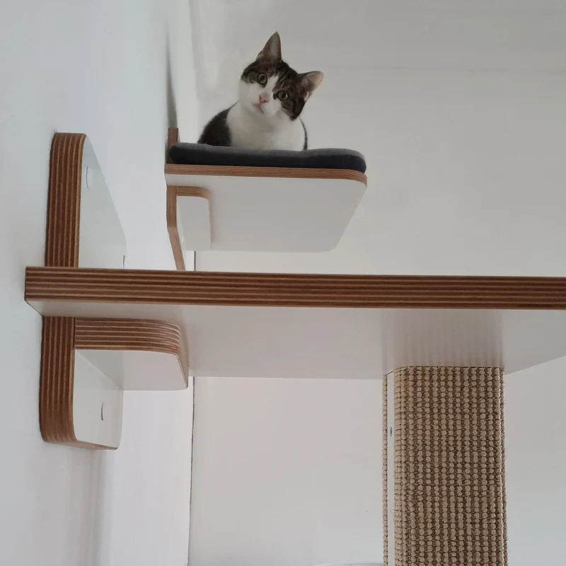 Langschläfer | WANDLIEGE für Katzen - weiß
