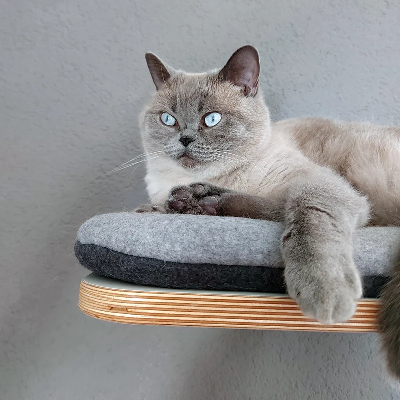 Langschläfer | WANDLIEGE für Katzen - weiß