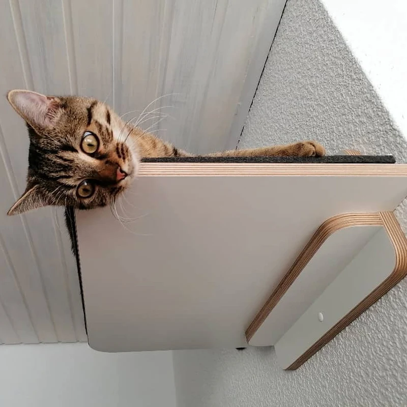 Langschläfer | WANDLIEGE für Katzen - weiß