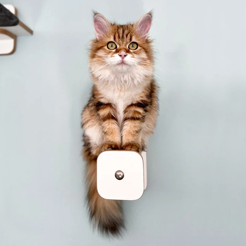 Stufentiger | HÜPFSTAMM für Katzen - Sisal Kletterstufe für die Wand - Kratzstamm 20cm