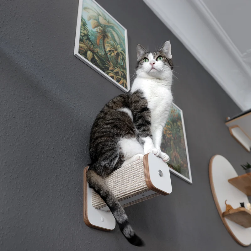 Stufentiger | HÜPFSTAMM für Katzen - Sisal Kletterstufe für die Wand - Kratzstamm 20cm