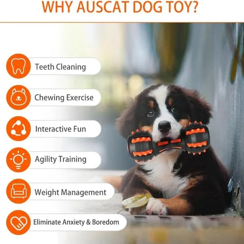 Durable Dumbbell Shaped Rubber Chew Toy For Dogs