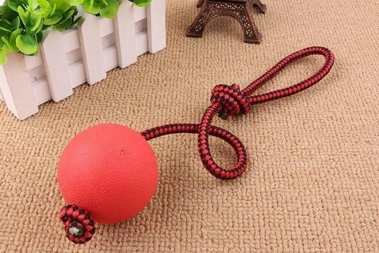 Bite Resistant Rubber Ball With Elastic Rope Dog Chew Toy