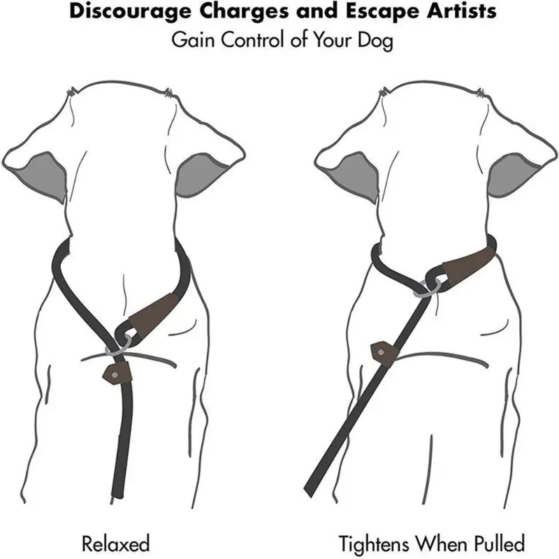 Dog Pet Nylon Pull-Resistant Leash