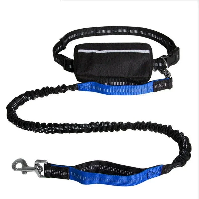 Nylon Reflective Retractable Dog Leash With Waist Belt For Hands Free User Experience