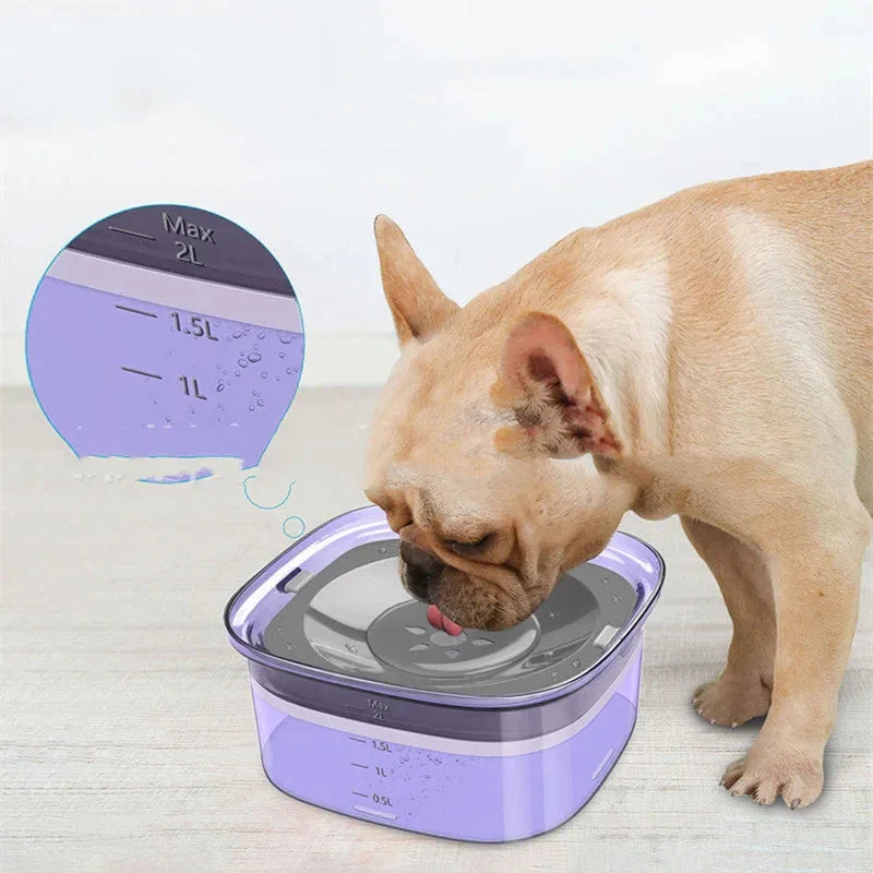 Pet Dog Splash-Proof Water Bowl
