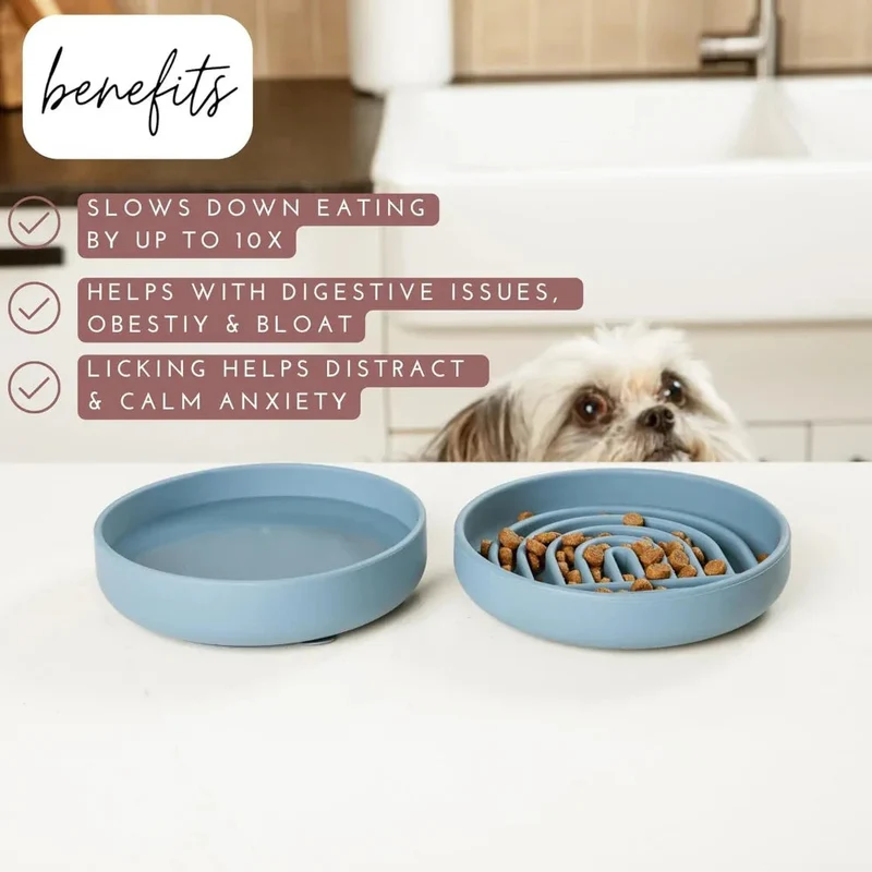 Slowdown Slow Feeder Silicone Pet Dog Bowl