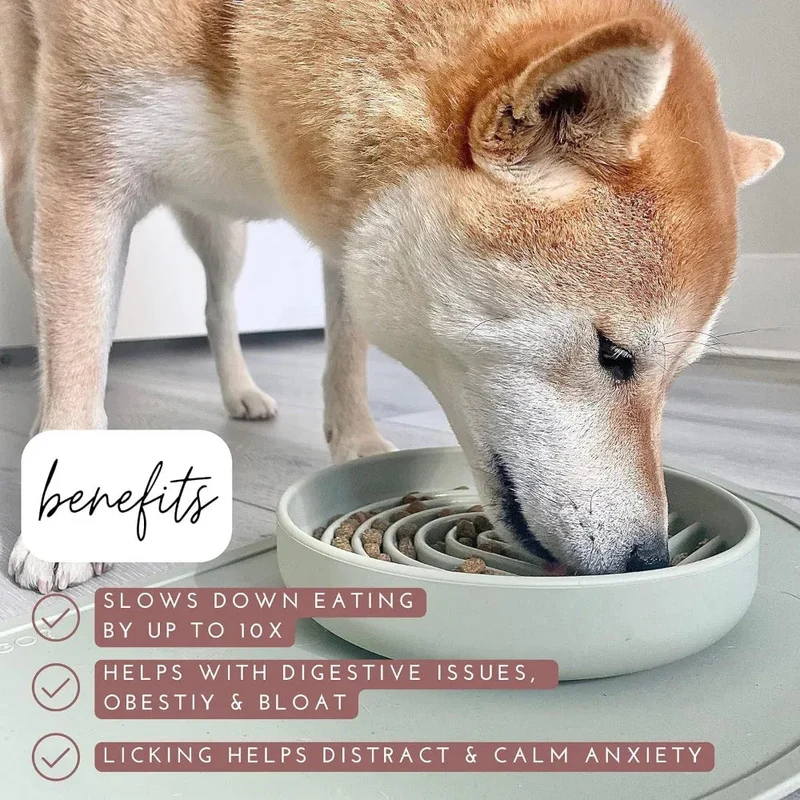 Slowdown Slow Feeder Silicone Pet Dog Bowl