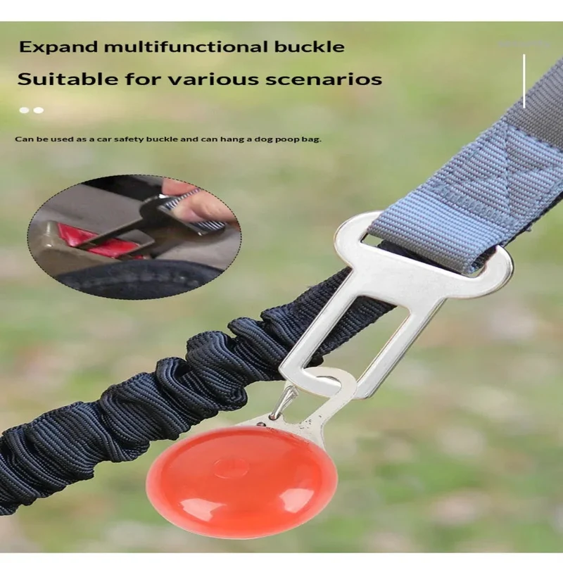 Reflective Anti-Burst Dog Leash For Outdoor Walks