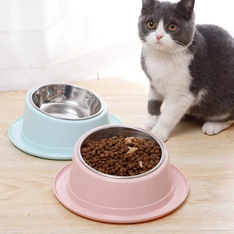 Stainless Steel Pet Cat Bowl